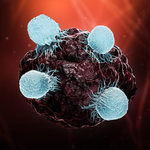 #معلومة_تهم_الباحثين 

🚨 تخيلوا علماء #علم_الوراثه 🧬 سيعالجون السرطان ب #الذكاء_الاصطناعي 😱 🤔 
حيث يحدث نظام الذكاء الاصطناعي ثورة في العلاج المناعي للسرطان من خلال تمكين العلماء من تصميم مفاتيح قائمة على البروتين لتدريب الخلايا المناعية للمريض على مهاجمة خلايا السرطان 🧬