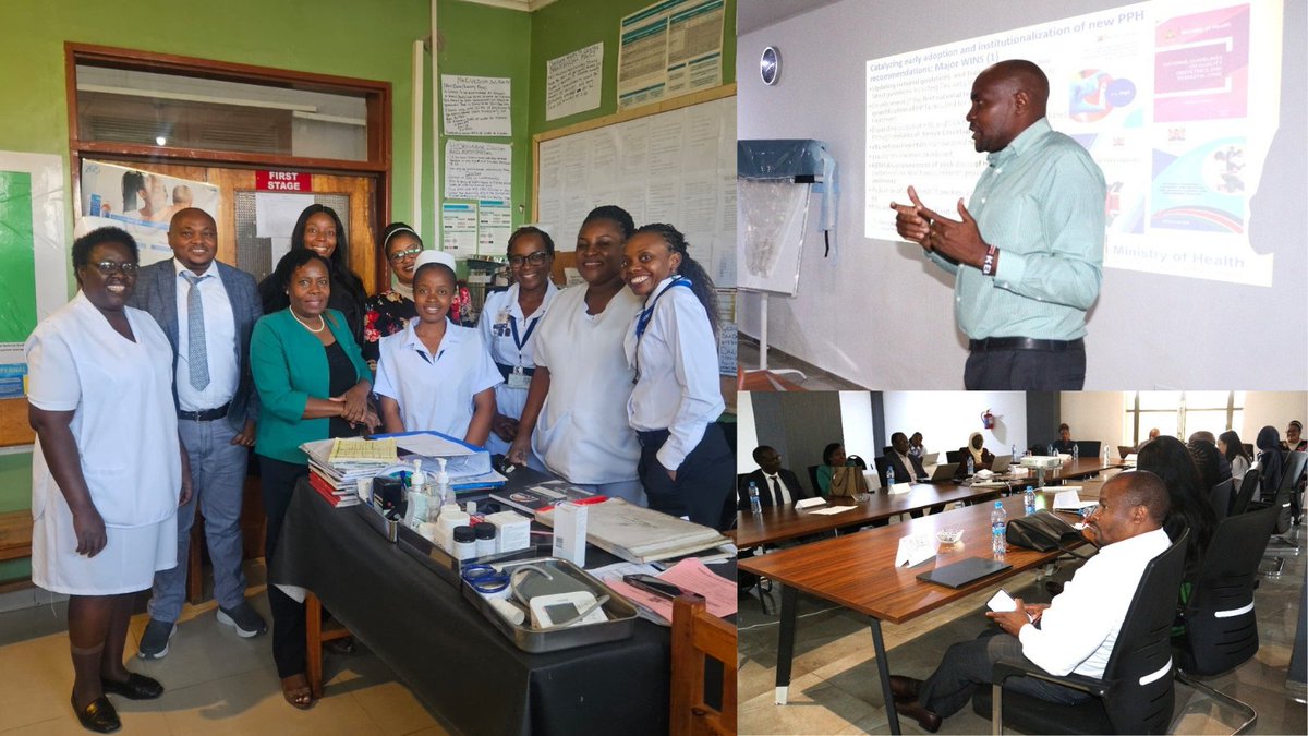 In June, medical and policy leaders from across Africa gathered in Zambia for a high-level workshop aimed at strengthening the implementation of the Accelerating Measurable Progress and Leveraging Investments for Postpartum Haemorrhage Impact (AMPLI-PPHI) project, a collaborative