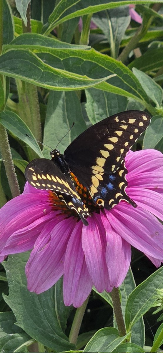 KEBGPW (@kebgpw) on Twitter photo 