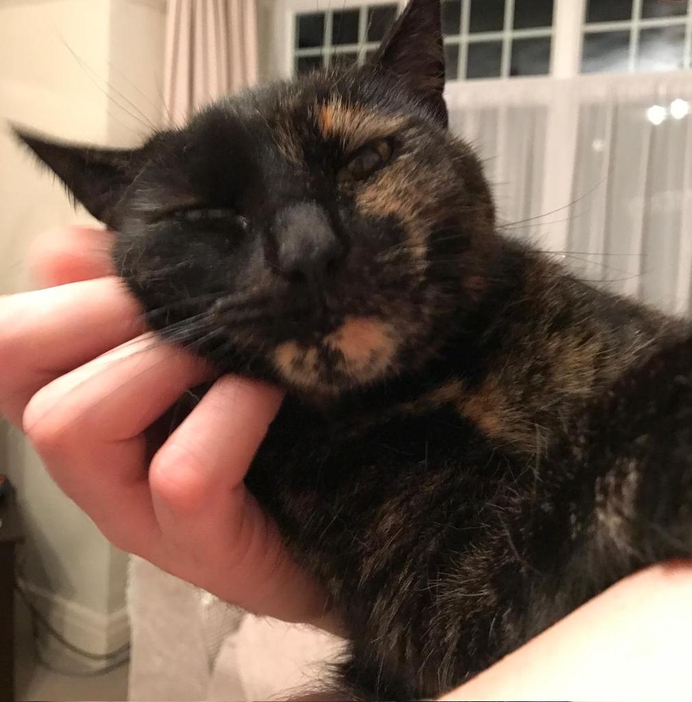 Brick-Morpork tweet media