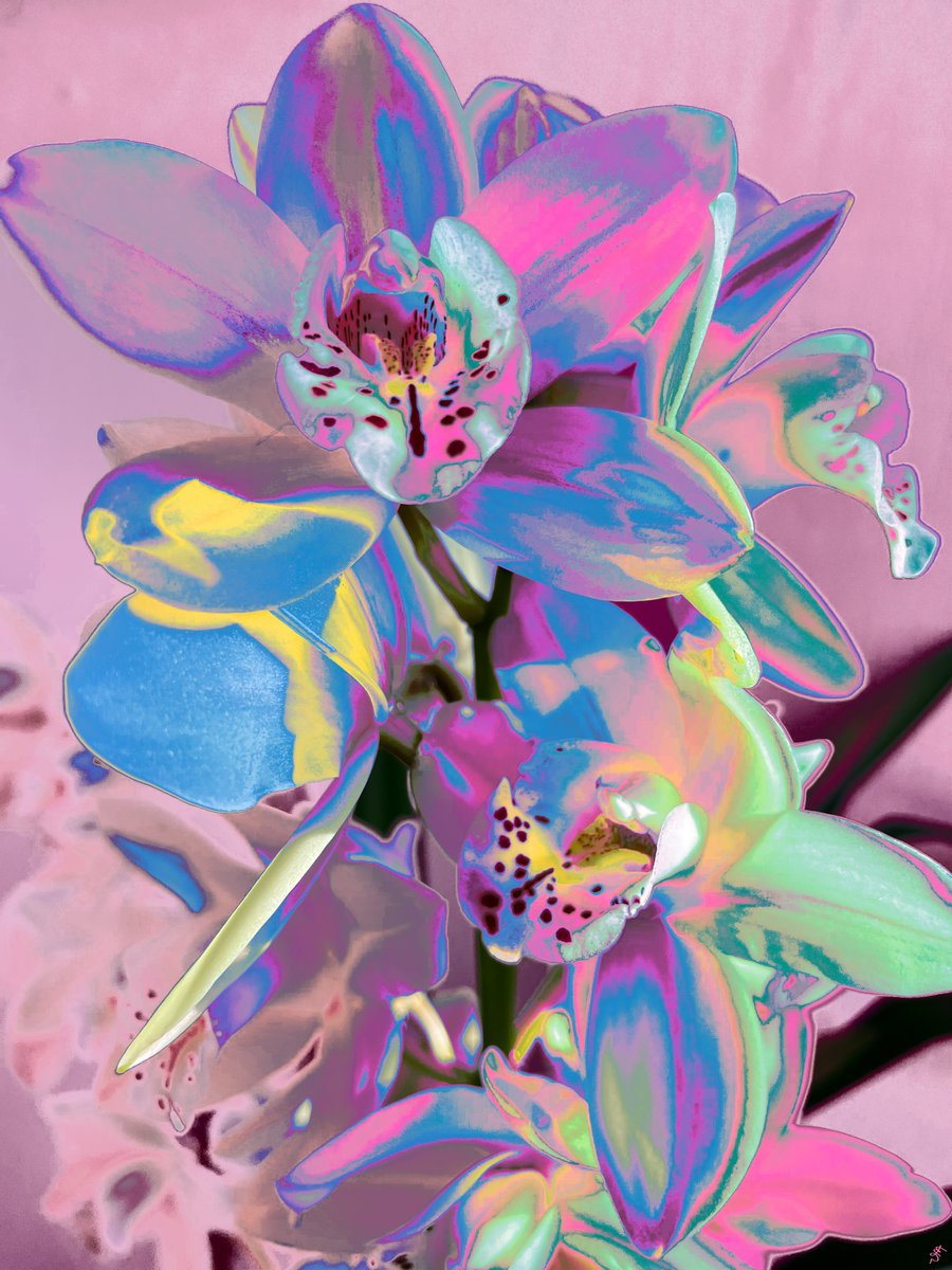 Vanessa VM (@missvanmel) on Twitter photo <a href="/chissweetart/">chissweetart</a> <a href="/objkt/">objkt</a> Hi Chis, thanks for the space!
Sharing “Orchid” a piece crafted through manual photo editing. I hope you enjoy it! Feel free to dive deeper into my work and explore more as you please!
link to the collection “My Hues”
objkt.com/collections/KT…
<a href="/Ferdoropeza/">Ferdoropeza.eth/tez</a> <a href="/mason_matak_art/">Matak Tezos</a> <a href="/chissweetart/">chissweetart</a> <a href="/objkt/">objkt</a> Hi Chis, thanks for the space!
Sharing “Orchid” a piece crafted through manual photo editing. I hope you enjoy it! Feel free to dive deeper into my work and explore more as you please!
link to the collection “My Hues”
objkt.com/collections/KT…
<a href="/Ferdoropeza/">Ferdoropeza.eth/tez</a> <a href="/mason_matak_art/">Matak Tezos</a>