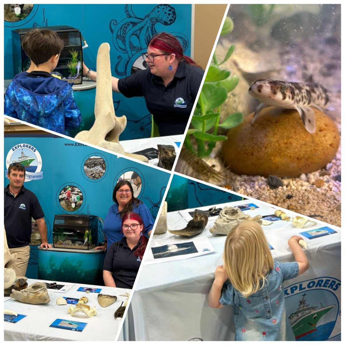 A big thanks to the  Explorers Education Programme team for sharing some of our amazing stories about marine species in Ireland at the <a href="/fotawildlife/">Fota Wildlife Park</a>  #NativeSpeciesWeekend! It was great to see so many families interested in our marine and the animals that are at our watery