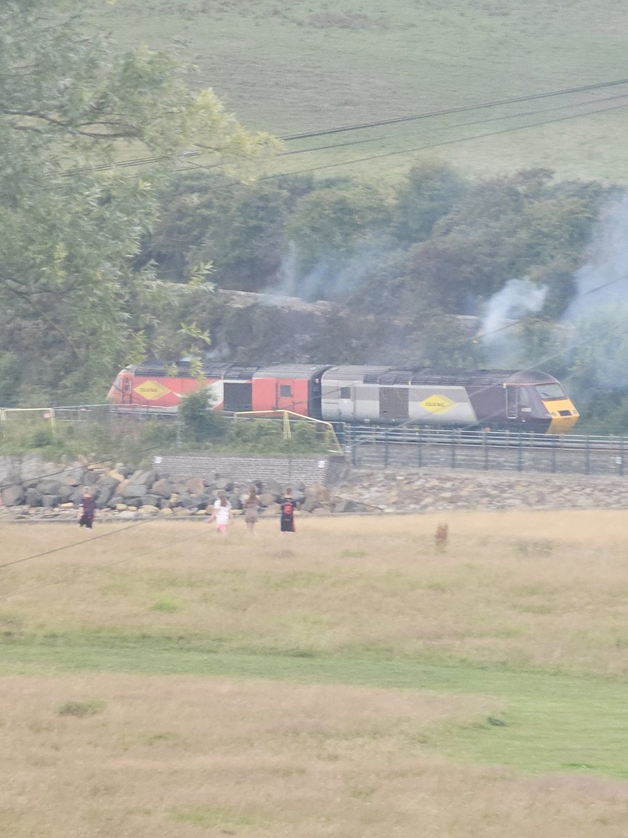 saucypots tweet media