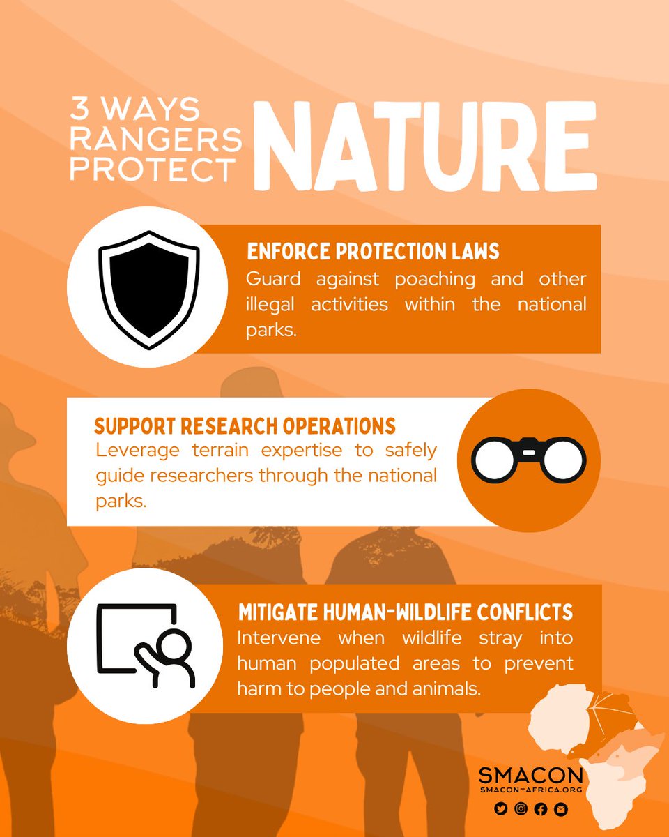 Small Mammal Conservation Organization (SMACON) (@smaconbats) on Twitter photo On #WorldRangerDay, we celebrate these dedicated professionals, who work tirelessly to keep our forests and wildlife safe. At SMACON, we're proud to partner with these conservation heroes, who play a vital role in protecting our planet's biodiversity. On #WorldRangerDay, we celebrate these dedicated professionals, who work tirelessly to keep our forests and wildlife safe. At SMACON, we're proud to partner with these conservation heroes, who play a vital role in protecting our planet's biodiversity.