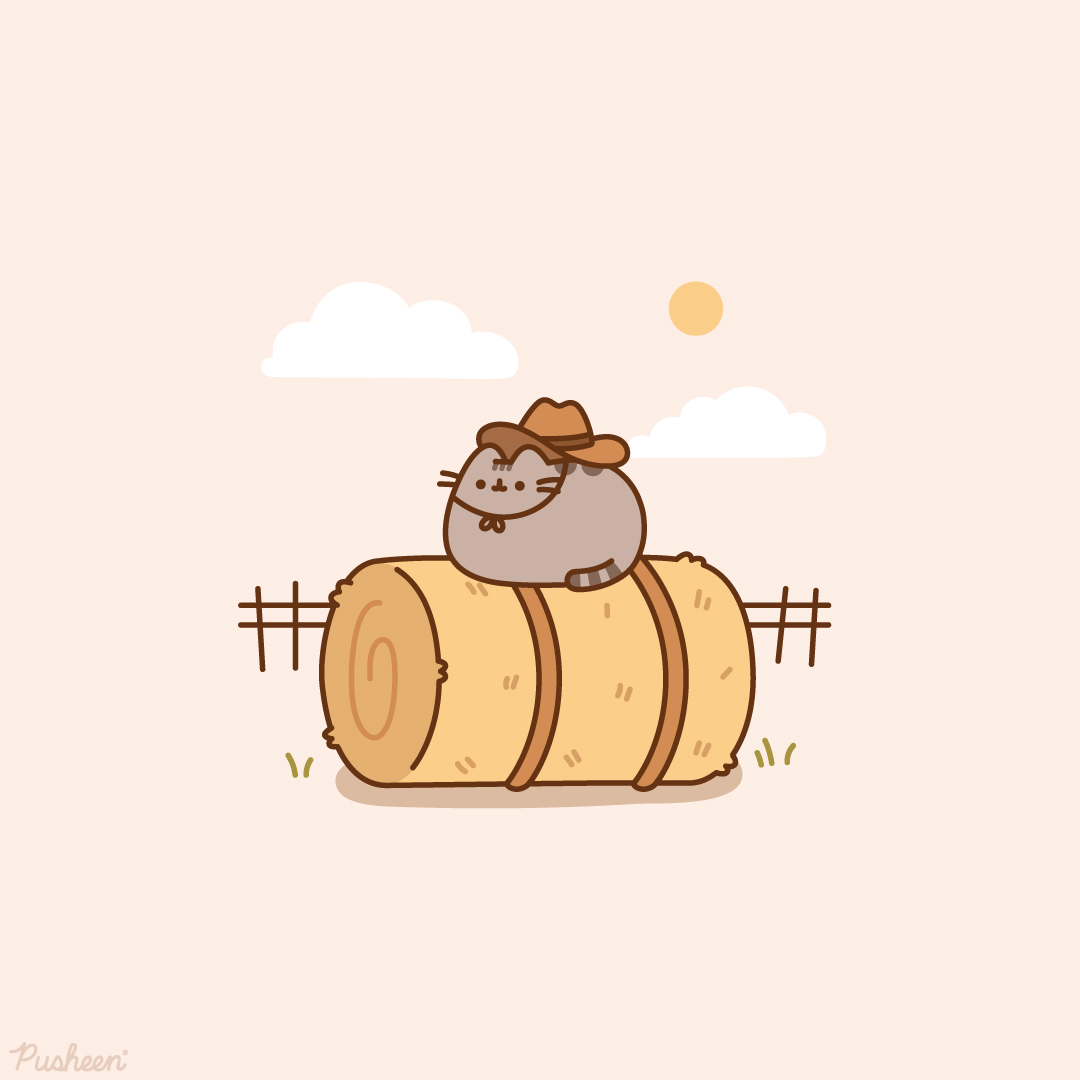 Pusheen the cat (@pusheen) on Twitter photo 