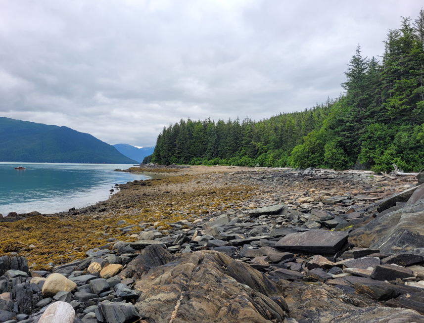 USBPChiefBLW's tweet image. On July 27, Juneau-based Border Patrol Agents teamed up with the U.S. Forest Service to deploy advanced sensors across Southeast Alaska’s rugged coastline. This tech boosts border security while protecting the remote, wild terrain. #BorderPatrol #USForestService