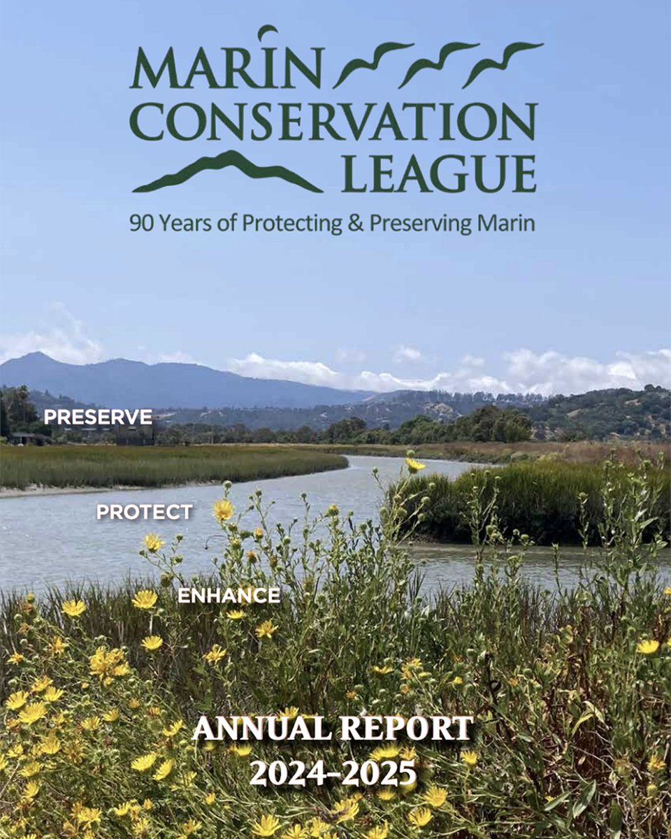 MCL_Marin's tweet photo. Marin Conservation League’s 2024 Annual Report is here! 🌿

See highlights of our advocacy, programs, events &amp; financials from the past year + a thank you to our amazing supporters.

Read now: https://t.co/OAKFVct3Wq https://t.co/5pE5TFjwYA