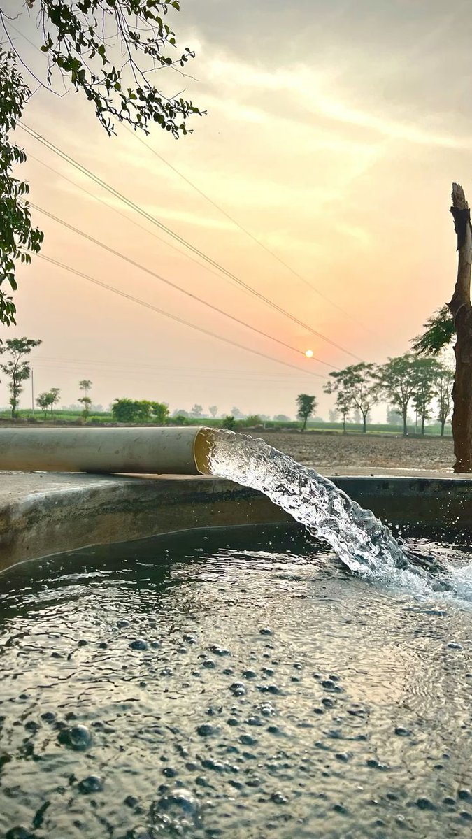 أحببتُهم فعشقتُ أشباهًا لهمْ
وأَلِفْتُ أصحابًا لهم وقبائلا

آهٍ لهم رحلوا وأبقوا طيفَهمْ
فإذا رأيتُ الطيفَ أعدو سائلا

#جمال_الحمداء