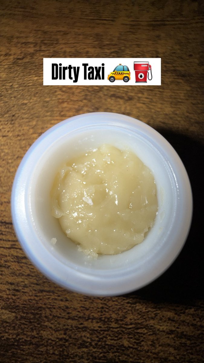 TheHeadyTerpPusher (@therealhtp503) on Twitter photo Dirty Taxi 🧄🚕 (GMO x I-95) | <a href="/HashyGilmore710/">Hashy Gilmore</a> 
headyterppusher.com Dirty Taxi 🧄🚕 (GMO x I-95) | <a href="/HashyGilmore710/">Hashy Gilmore</a> 
headyterppusher.com