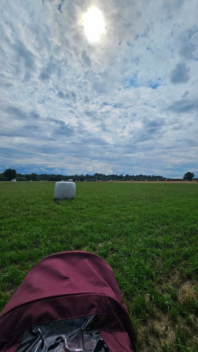 Les_Elles_Terre's tweet photo. 38 ans dans des santiags agricole
Ma #Belette ne parle pas encore, mais elle écoute. Et déjà, la terre nous relie. "C’est d’ici que ta maman vient"
Je crois que le lien est déjà là. 🌾👩🌾👶 #Transmission #Agriculture #Générations
#MaloBelette #FrAgTw https://t.co/WjvmFv1asj