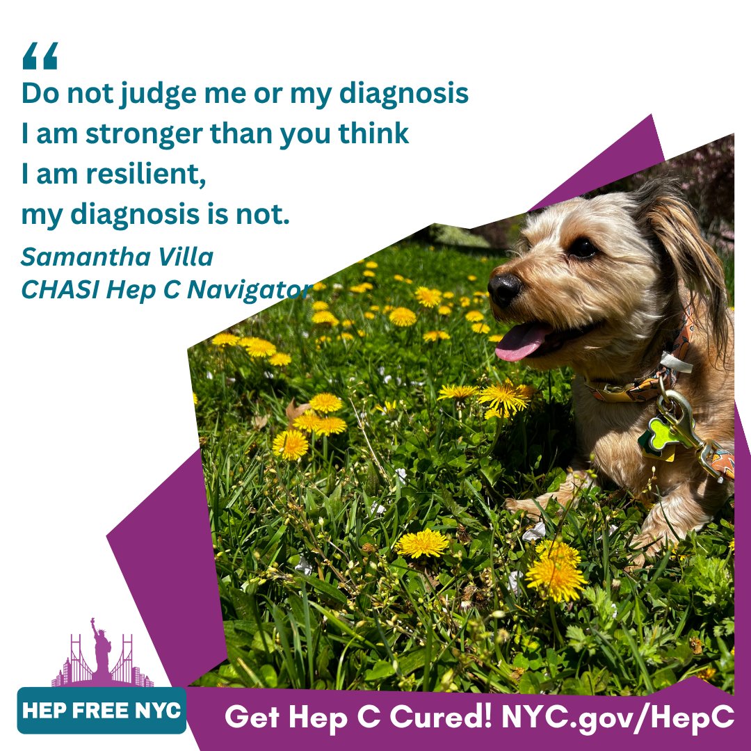 Hep Free NYC tweet media