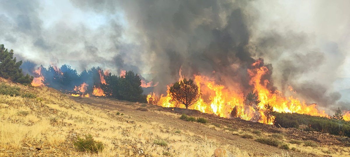 ATBRIF (@at_brif) on Twitter photo 18:21📸#IFCaminomorisco #Cáceres
La brigada <a href="/BRIF_PINO/">BRIF PINOFRANQUEADO</a> RD ya trabaja con fuego técnico realizando un contrafuego apoyado con autobombas🚒 <a href="/PLANINFOEX/">INFOEX</a> en tendido de manguera y línea húmeda realizada con medios aéreos.
Somos #BRIF de <a href="/mitecogob/">Transición Ecológica y Reto Demográfico</a> 18:21📸#IFCaminomorisco #Cáceres
La brigada <a href="/BRIF_PINO/">BRIF PINOFRANQUEADO</a> RD ya trabaja con fuego técnico realizando un contrafuego apoyado con autobombas🚒 <a href="/PLANINFOEX/">INFOEX</a> en tendido de manguera y línea húmeda realizada con medios aéreos.
Somos #BRIF de <a href="/mitecogob/">Transición Ecológica y Reto Demográfico</a>