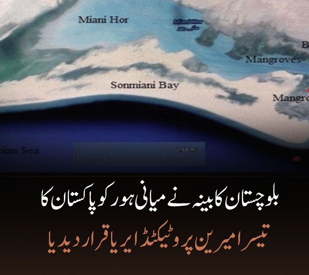 اہم خبر👇

بلوچستان حکومت نے میانی ہور کو پاکستان کا تیسرا محفوظ سمندری علاقہ (میرین پروٹیکٹڈ ایریا) قرار دے دیا ہے۔

ترجمان WWF پاکستان کے مطابق، یہ فیصلہ کابینہ نے منظور کر لیا ہے۔ یاد رہے اس سے پہلے2017 میں آسٹولا آئی لینڈ 2024 میں چرنا آئی لینڈ کو محفوظ سمندری علاقے قرار۔۔۔