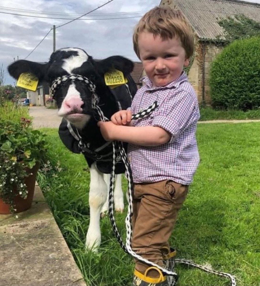 This little farmer is already an expert! 👏 🚜 🇬🇧 

📸 littlebridgelizzie