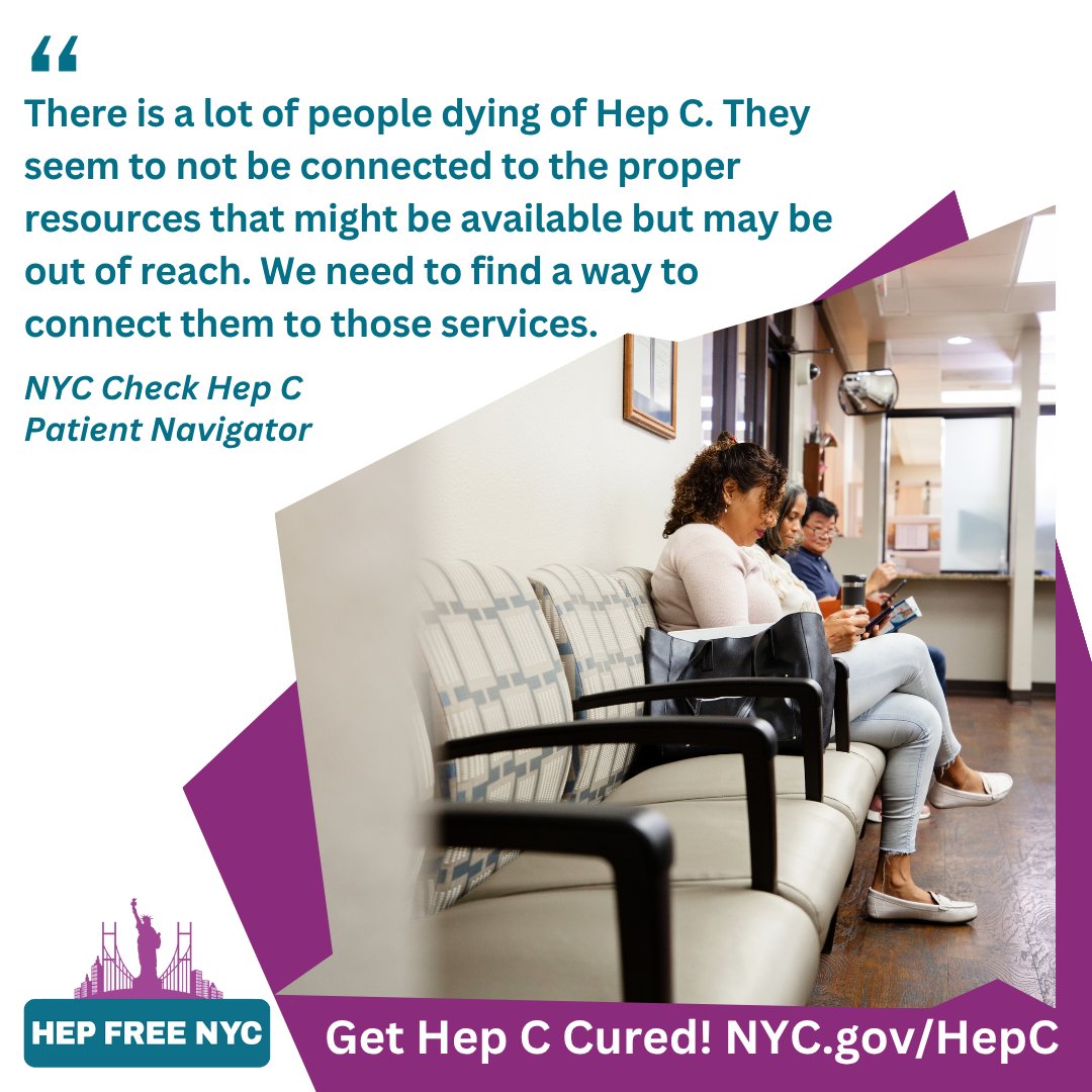 Hep Free NYC tweet media