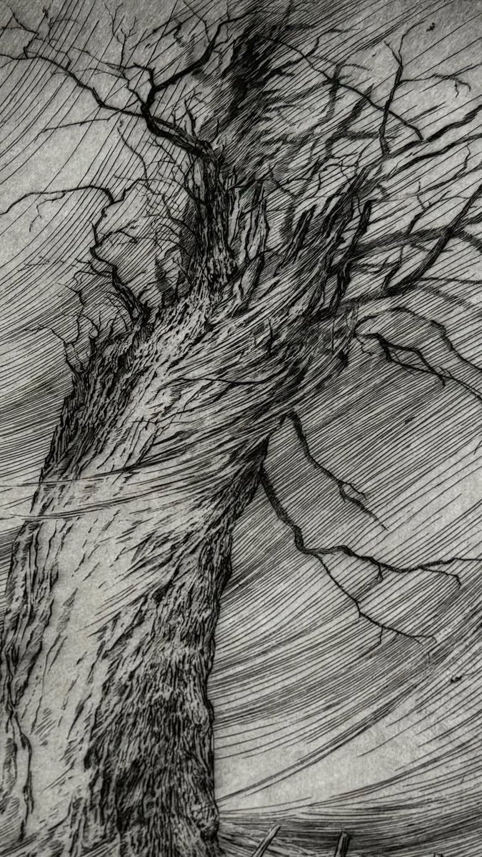 Close-up pic of the print