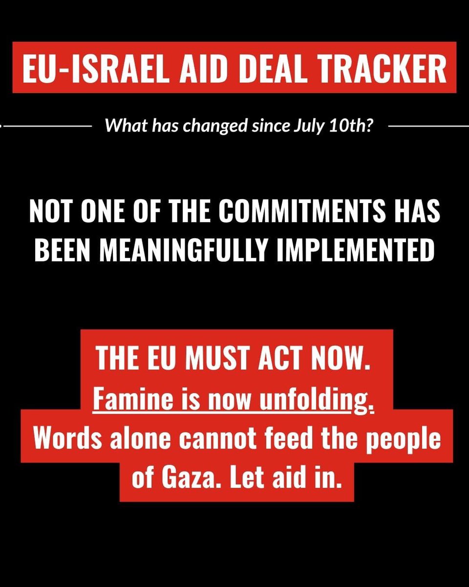On 10th July 2025, the EU and Israel struck a deal to allow 'substantial' humanitarian aid into Gaza.

The IRC and partners are tracking the state of implementation of this deal.