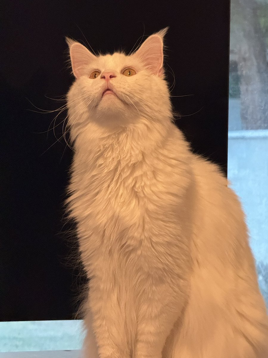 he has seen incomprehensible horrors