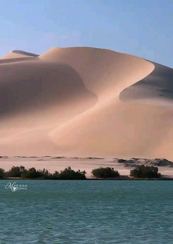 SuhadNur's tweet photo. The coastal area of Gabbac, Nugaal region❤️.
#SOMAALIA https://t.co/aVL9CP5fu0
