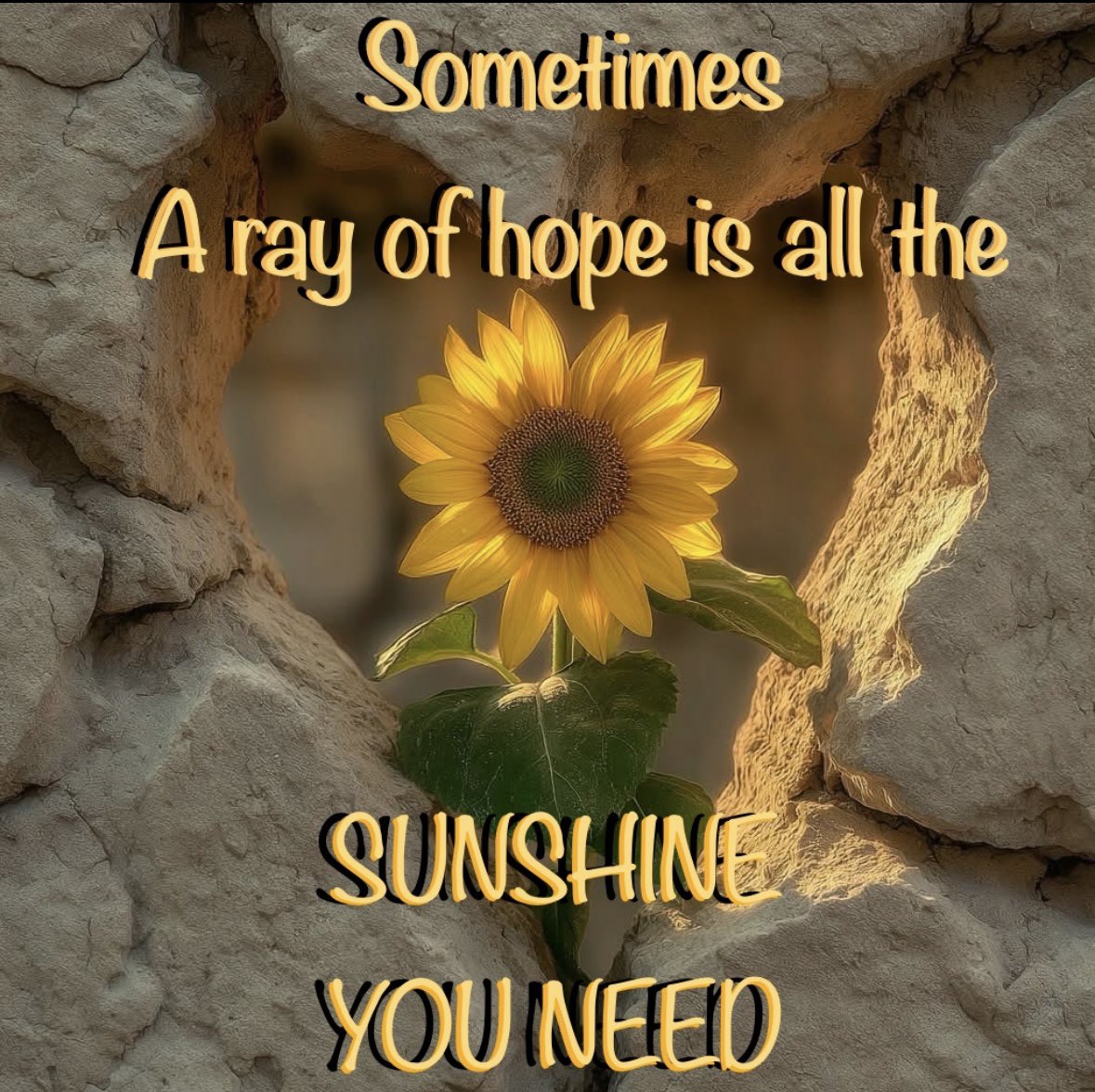 ✨🙏🏻❤️🌻Amen!✨🌻🌻🌻