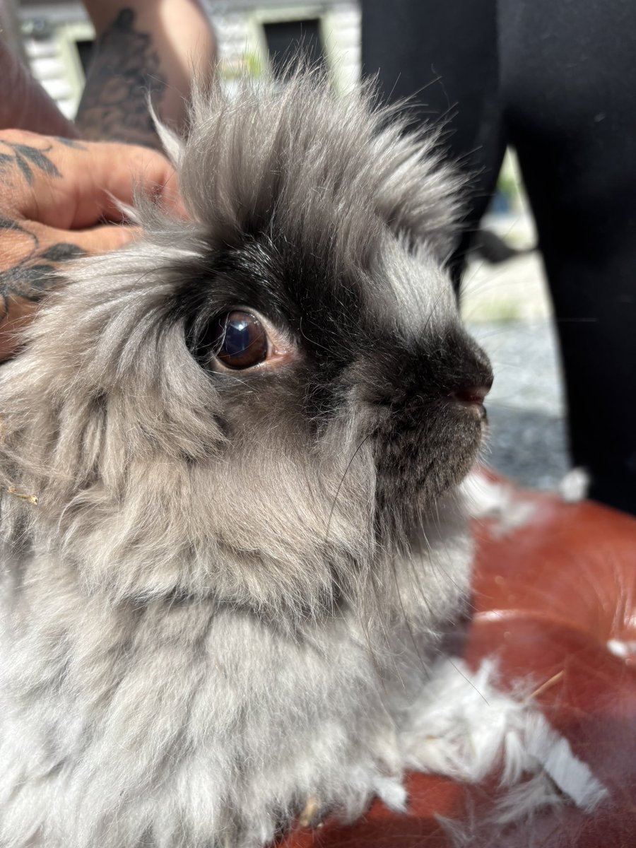 That Tina Turner vibe is strong 🤣