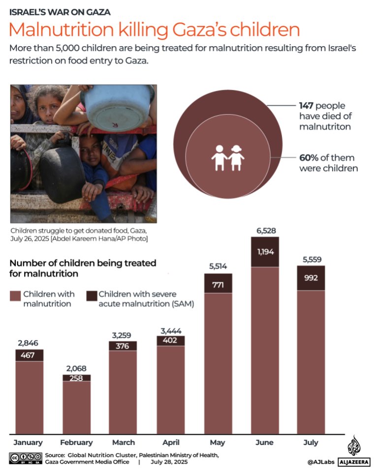 Gaza is not "on the brink of famine" it has gone past that point. Gaza is IN famine. 
While corrupt politicians like Starmer use delaying tactics and provide cover for Israel. 
I couldn't be more disgusted by these monsters.