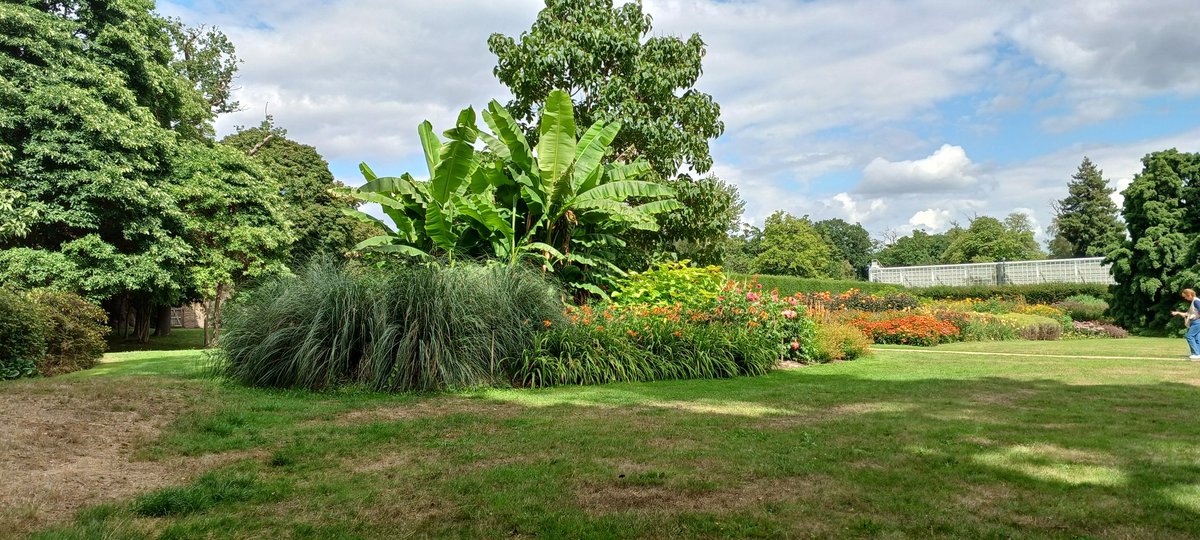 Summer borders looking great in Savill Gardens, Windsor Great Park.