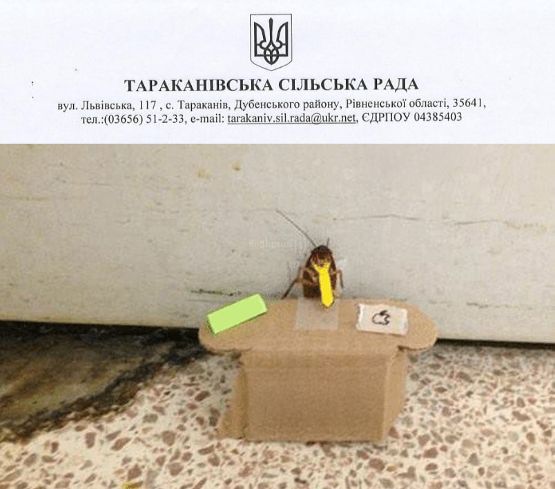 dbm_ua's tweet image. 