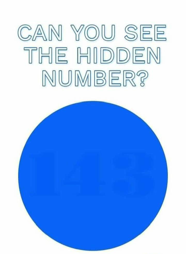 TheFlatEartherr's tweet image. Can you see the hidden number?🔵