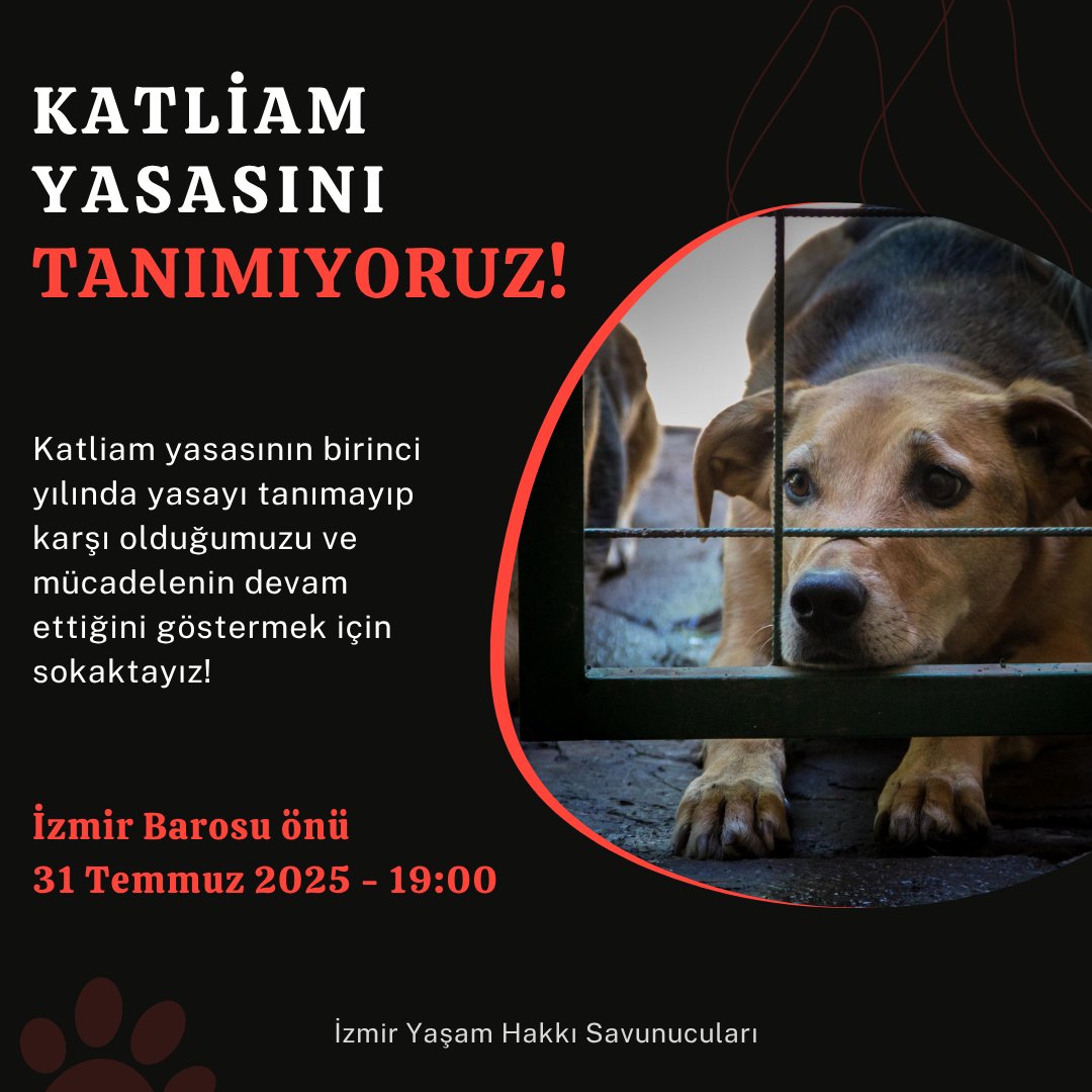 30 Temmuz 2024’te AKP ve MHP'nin oyları ile meclisten geçen ve 2 Ağustos’ta yürürlüğe giren katliam yasasının birinci yılında; ekmeğimizi, suyumuzu, sevgimizi paylaştığımız ve yaşamını savunduğumuz hayvanlardan vazgeçmiyoruz, yasanızı tanımıyoruz ve sokaktayız!