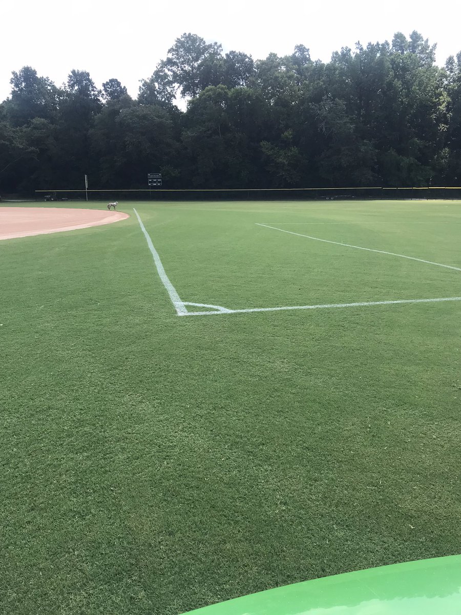 Dean Dease tweet media