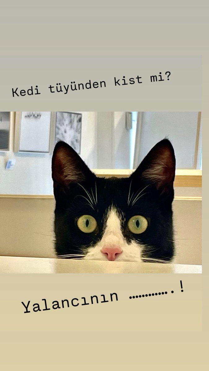 Yalancının… 
Not: Baba tarafından Adanalıdır…
#hayvanlaradokunma