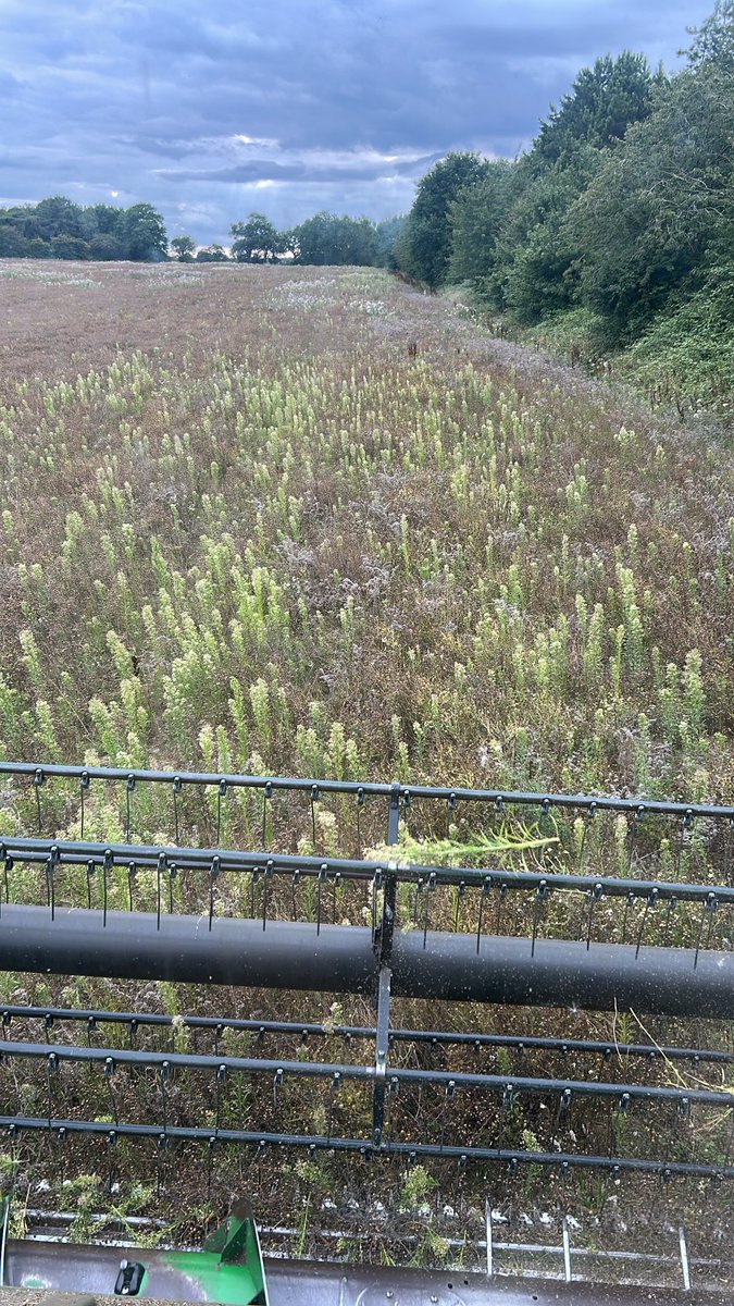 The best and worst of #organicfarming #harvest25