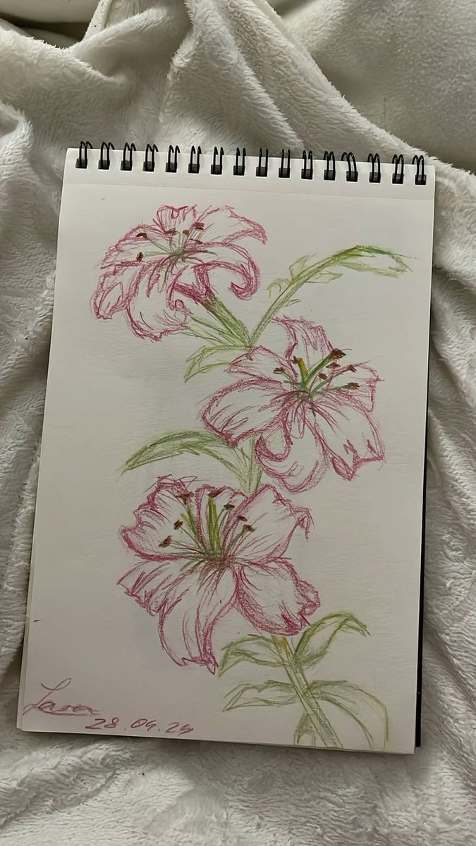 blufmaster3's tweet image. 