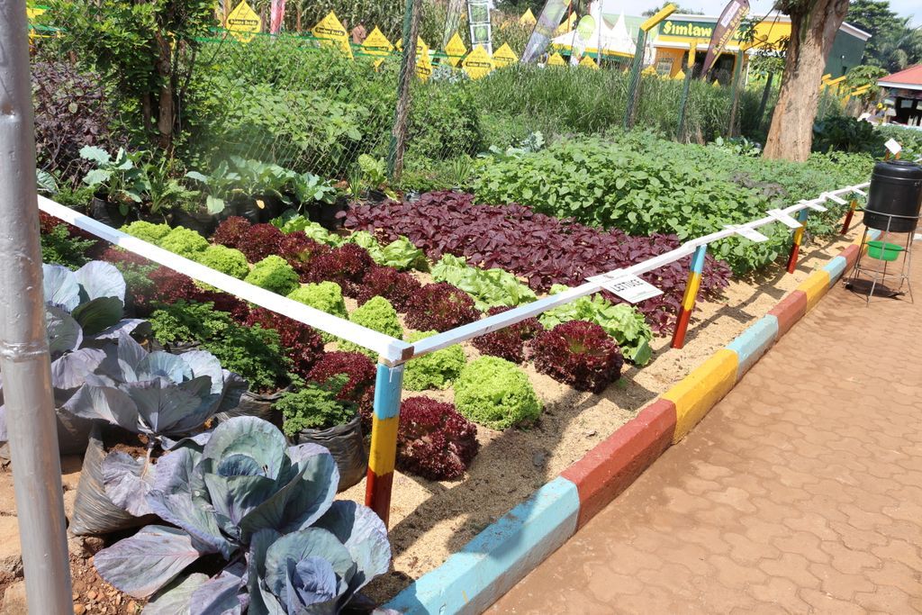 IFDC (@ifdcglobal) on Twitter photo The BRIGHT Project took center stage at Uganda’s National Agricultural Show, spotlighting innovation in value addition, digital finance, market access & nutrition, tools driving inclusive agricultural development.
Funded by <a href="/NLinUganda/">Embassy of the Netherlands in Uganda</a>.
Read more: buff.ly/pyWT9Er The BRIGHT Project took center stage at Uganda’s National Agricultural Show, spotlighting innovation in value addition, digital finance, market access & nutrition, tools driving inclusive agricultural development.
Funded by <a href="/NLinUganda/">Embassy of the Netherlands in Uganda</a>.
Read more: buff.ly/pyWT9Er