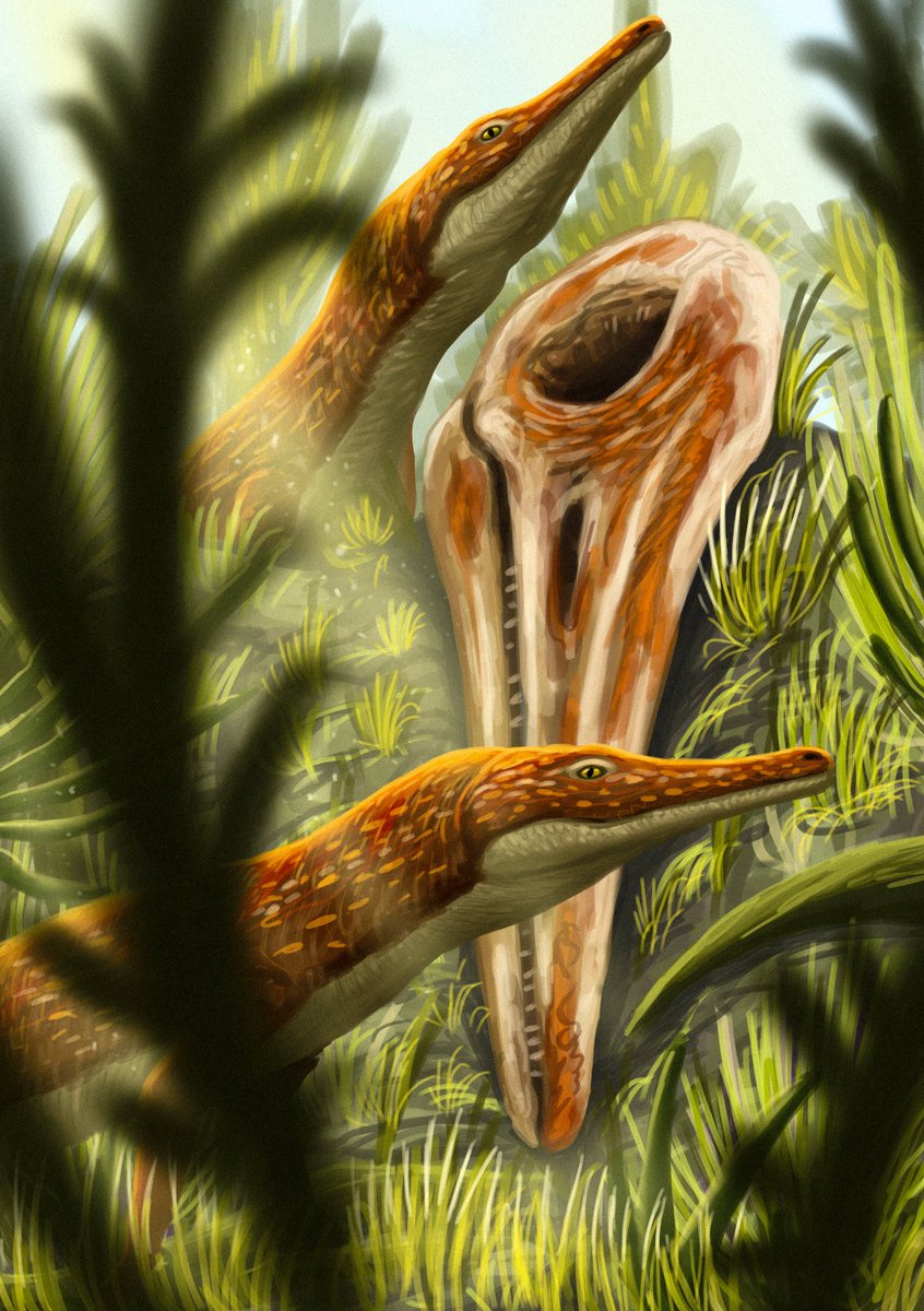 Two Proterochampsa exploring the skull of a primitive ichthyosaur