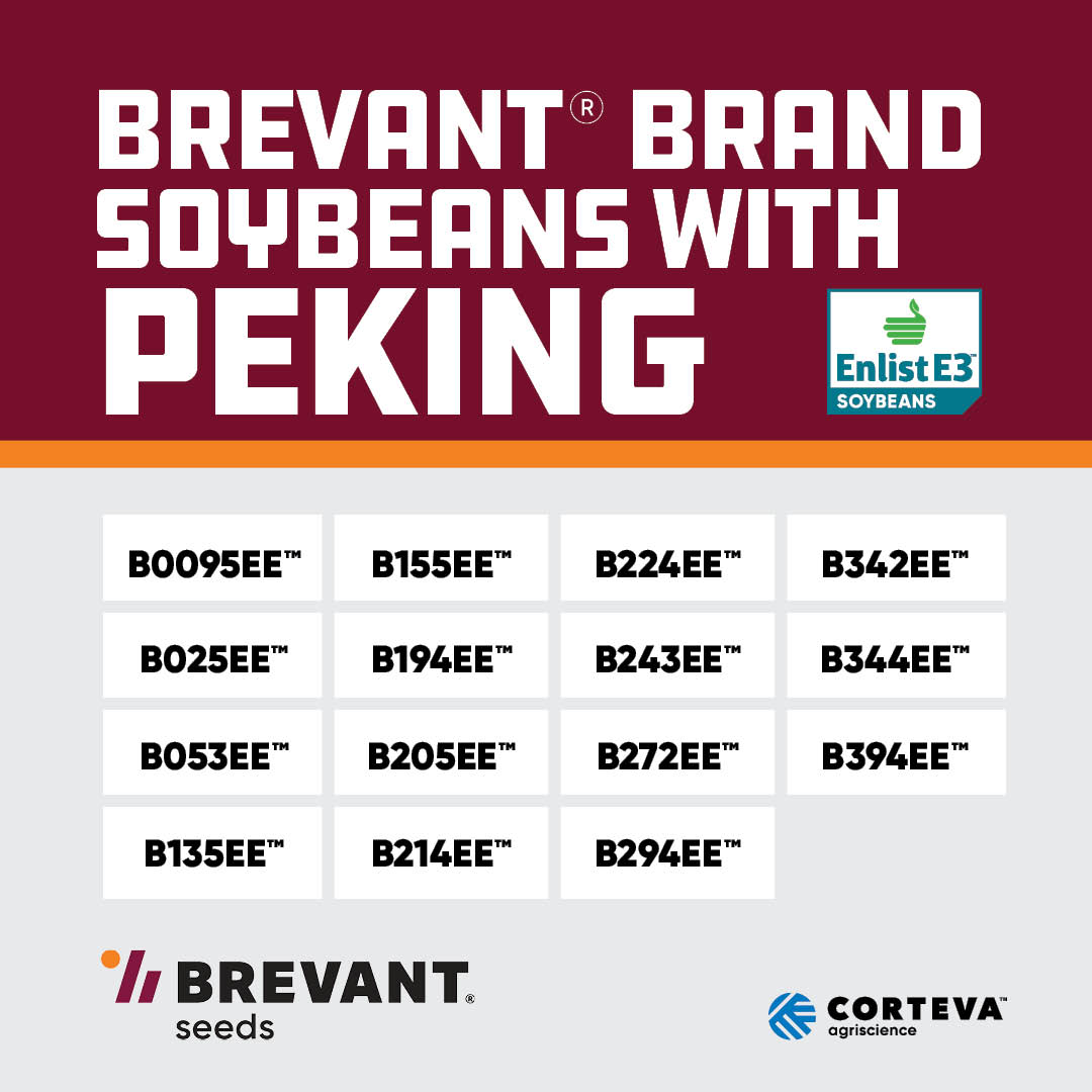 BrevantseedsUS's tweet photo. Look at all those varieties! 🔥 Brevant® brand soybeans combine Peking SCN resistance with strong agronomics to deliver high yields and winning results! #BrevantSeeds #Enlist #WinSoBig https://t.co/2IZMeVkeHY