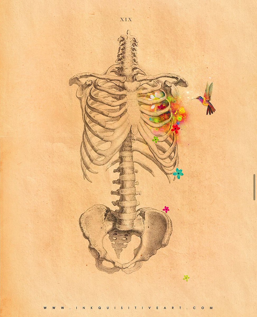 Hearts Are Wild Creatures Thats Why Our Ribs Are Cages (2015) 🌼🌸✨🌸🌼
•
Available at inkquisitiveart.com