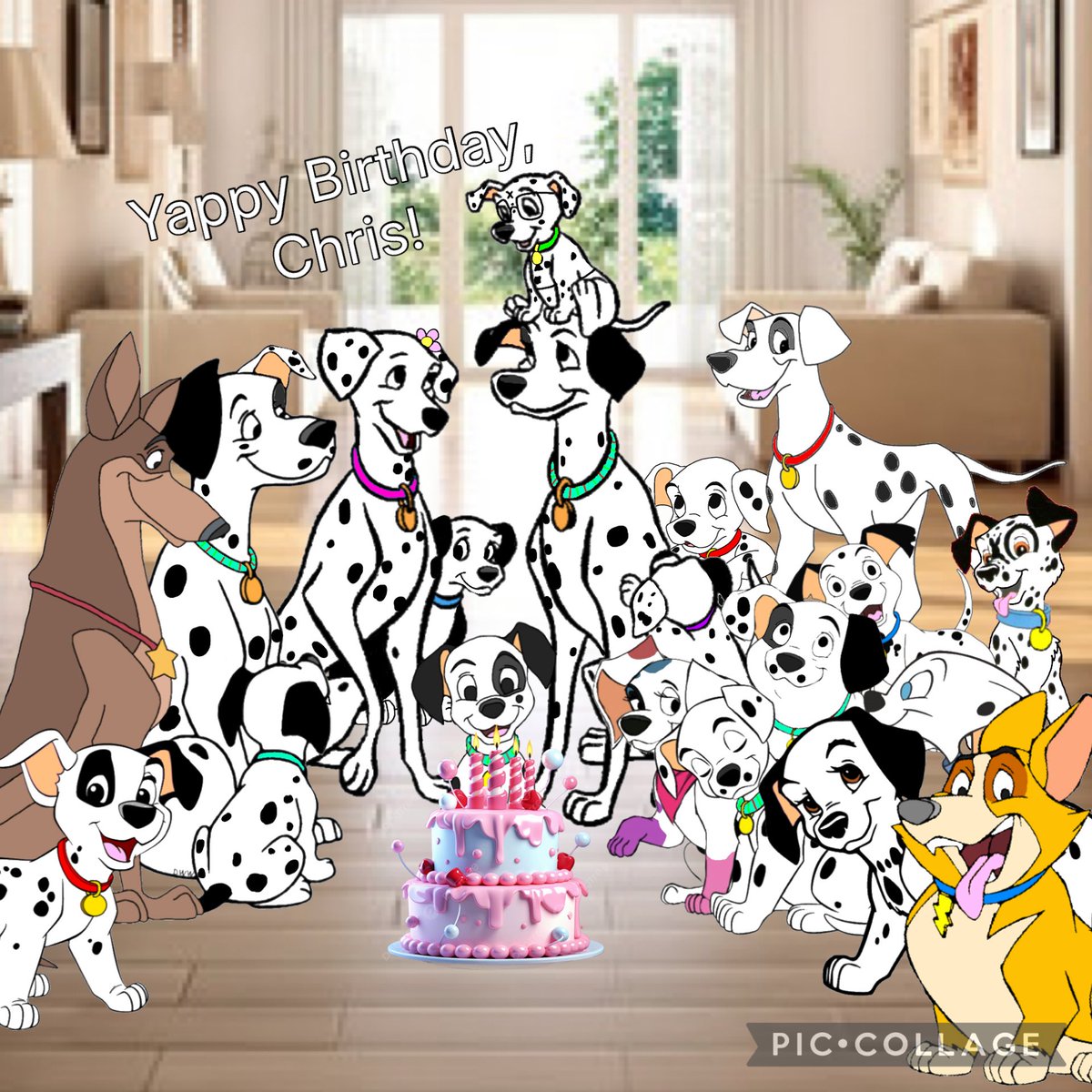 ๐ถChris Dalmatian๐ถ (@chrisrdalmatian) on Twitter photo Re-edit: Today's my birthday! Yay me!
With <a href="/PatDalmatian/">๐ถ แดแดแด แด
แดสแดแดแดษชแดษด ๐ถ</a> <a href="/PuppyDogCaiden/">๐ถCaiden Dalmatian๐ถ</a> <a href="/PrestonDal71109/">๐งชPreston Dalmatian๐งช</a> <a href="/OnePranksterPup/">๐พChuck๐พ</a> <a href="/DaVinci101DST/">๐จ๐๐พ ๐๐ข ๐๐ช๐ฏ๐ค๐ช ๐จ๐๐พ</a> <a href="/chrisno51/">Chris G.</a> <a href="/ChopperTheBiter/">๐ฒ๐๐๐๐๐๐ แดแด
แดกแดสแด
แด
แดสแดแดแดษชแดษด ๐พ๐ฆด๐ฆท</a> <a href="/BaileyPup_/">Bailey</a> <a href="/Patches_101Dalm/">๐พ๐ถแขแชแแhแฌs ๐ถ๐พ</a> <a href="/Whizzer_Dalmati/">๐ฆ ๐ฆด๐พแณแฅแแแฌแ JAMES DALMATIAN (แณแฅแ) ๐พ ๐ฆด๐ฆ</a> <a href="/Lucky101Dalmati/">๐ฆ๐ ๐พแuแแฆแฝ ๐ป๐๐๐๐๐๐๐ Dalmatian๐พ๐๐ฆ</a> <a href="/Cadpig_Dalmati/">๐พ๐๐ข๐ฅ๐ฑ๐ช๐จ๐พ (๐๐ข๐ฅ)</a> <a href="/J_Ch3st3r_D4lm/">๐ฎ๐๐๐๐๐๐ ๐ต๐๐๐๐</a> <a href="/MotherlyDaisy/">Daisy</a> <a href="/Duke101Dalmati/">Duke Dalmatian</a> Re-edit: Today's my birthday! Yay me!
With <a href="/PatDalmatian/">๐ถ แดแดแด แด
แดสแดแดแดษชแดษด ๐ถ</a> <a href="/PuppyDogCaiden/">๐ถCaiden Dalmatian๐ถ</a> <a href="/PrestonDal71109/">๐งชPreston Dalmatian๐งช</a> <a href="/OnePranksterPup/">๐พChuck๐พ</a> <a href="/DaVinci101DST/">๐จ๐๐พ ๐๐ข ๐๐ช๐ฏ๐ค๐ช ๐จ๐๐พ</a> <a href="/chrisno51/">Chris G.</a> <a href="/ChopperTheBiter/">๐ฒ๐๐๐๐๐๐ แดแด
แดกแดสแด
แด
แดสแดแดแดษชแดษด ๐พ๐ฆด๐ฆท</a> <a href="/BaileyPup_/">Bailey</a> <a href="/Patches_101Dalm/">๐พ๐ถแขแชแแhแฌs ๐ถ๐พ</a> <a href="/Whizzer_Dalmati/">๐ฆ ๐ฆด๐พแณแฅแแแฌแ JAMES DALMATIAN (แณแฅแ) ๐พ ๐ฆด๐ฆ</a> <a href="/Lucky101Dalmati/">๐ฆ๐ ๐พแuแแฆแฝ ๐ป๐๐๐๐๐๐๐ Dalmatian๐พ๐๐ฆ</a> <a href="/Cadpig_Dalmati/">๐พ๐๐ข๐ฅ๐ฑ๐ช๐จ๐พ (๐๐ข๐ฅ)</a> <a href="/J_Ch3st3r_D4lm/">๐ฎ๐๐๐๐๐๐ ๐ต๐๐๐๐</a> <a href="/MotherlyDaisy/">Daisy</a> <a href="/Duke101Dalmati/">Duke Dalmatian</a>