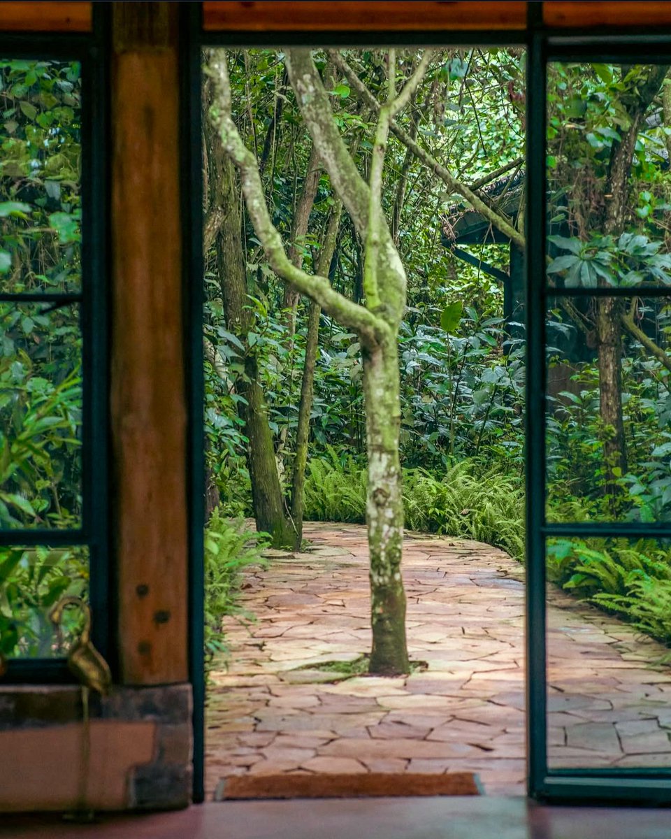 EbbForestLodge's tweet image. In embracing nature's path, we find harmony in stepping back and allowing it to flourish. This serene view reminds us of our responsibility to coexist respectfully, giving space for life's wild beauty to thrive alongside us. 🌿🏡
#onewithnature
