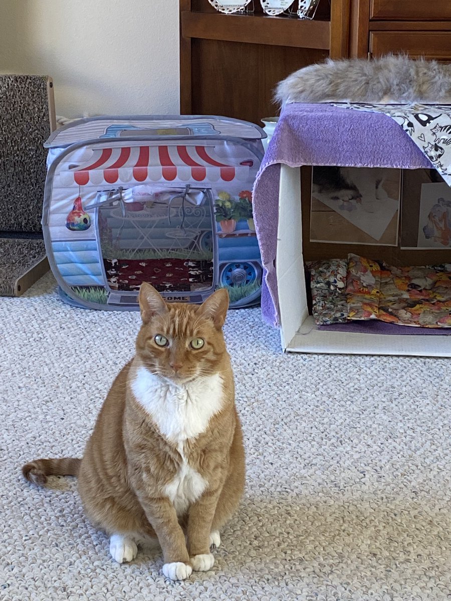 Mom jost got paid. Hers happy to donate to owr fwends! Pwease help if youse can! 
Rob is going through a really tough time right now. He needs help with groceries and bills. If you can, please consider donating or sharing. Every bit counts. Thank you! ❤ gofund.me/ba4e2f3f