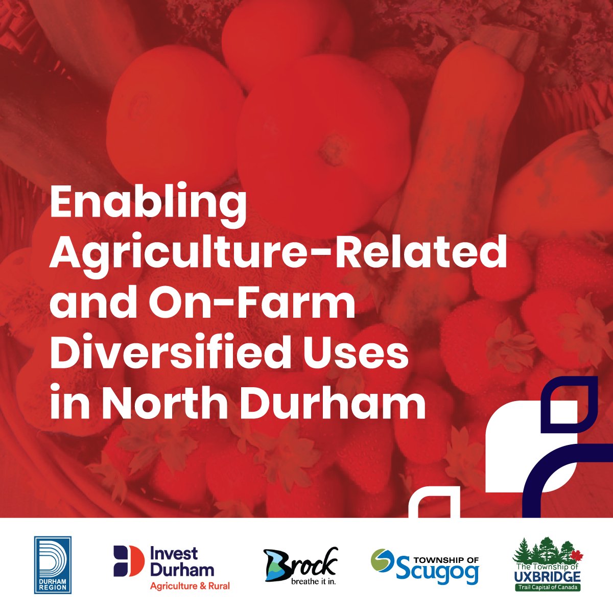 Durham Ag & Rural tweet media