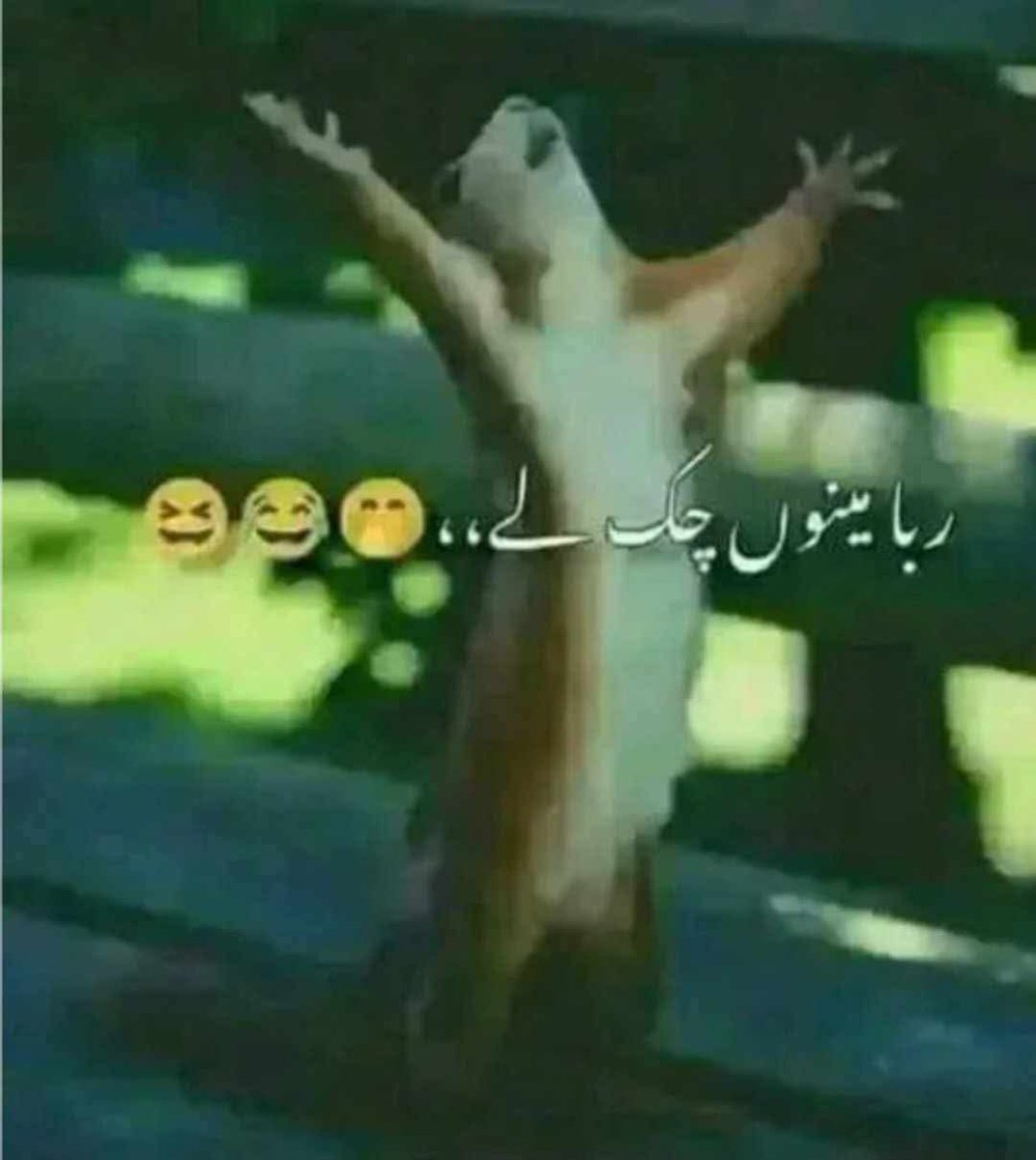 کہڑی وکٹری لین ؟

جاتی امراء کے کچن پر دھاوا بول کر سری پائے اور حلیم کی جنگ پلاسی میں سرخرو ھونے کے بعد مال غنیمت میں روغنی نان سمیٹے اور لسی کو للکارتے ھوئے بیڈروم کی لائن کراس کر گئے.

#نکلو_اب_خاموشی_گناہ_ہے