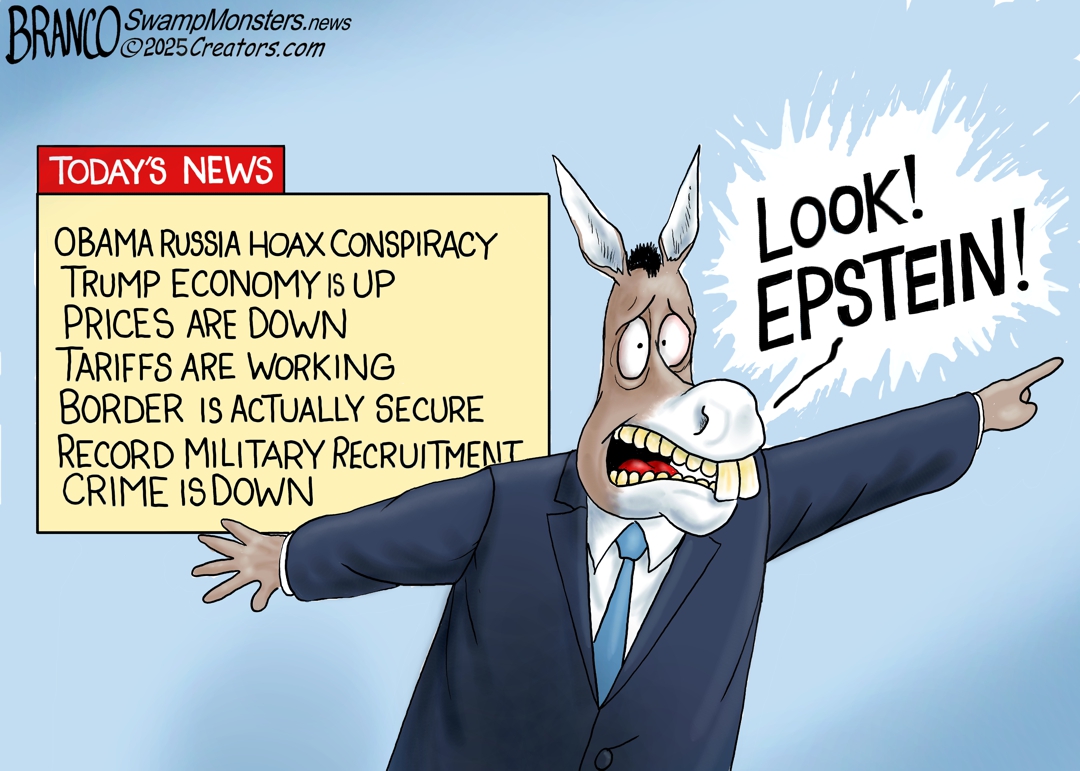 Today's Toon - Operation Deflection - 07/30/25
swampmonsters.news/cartoons-from-…