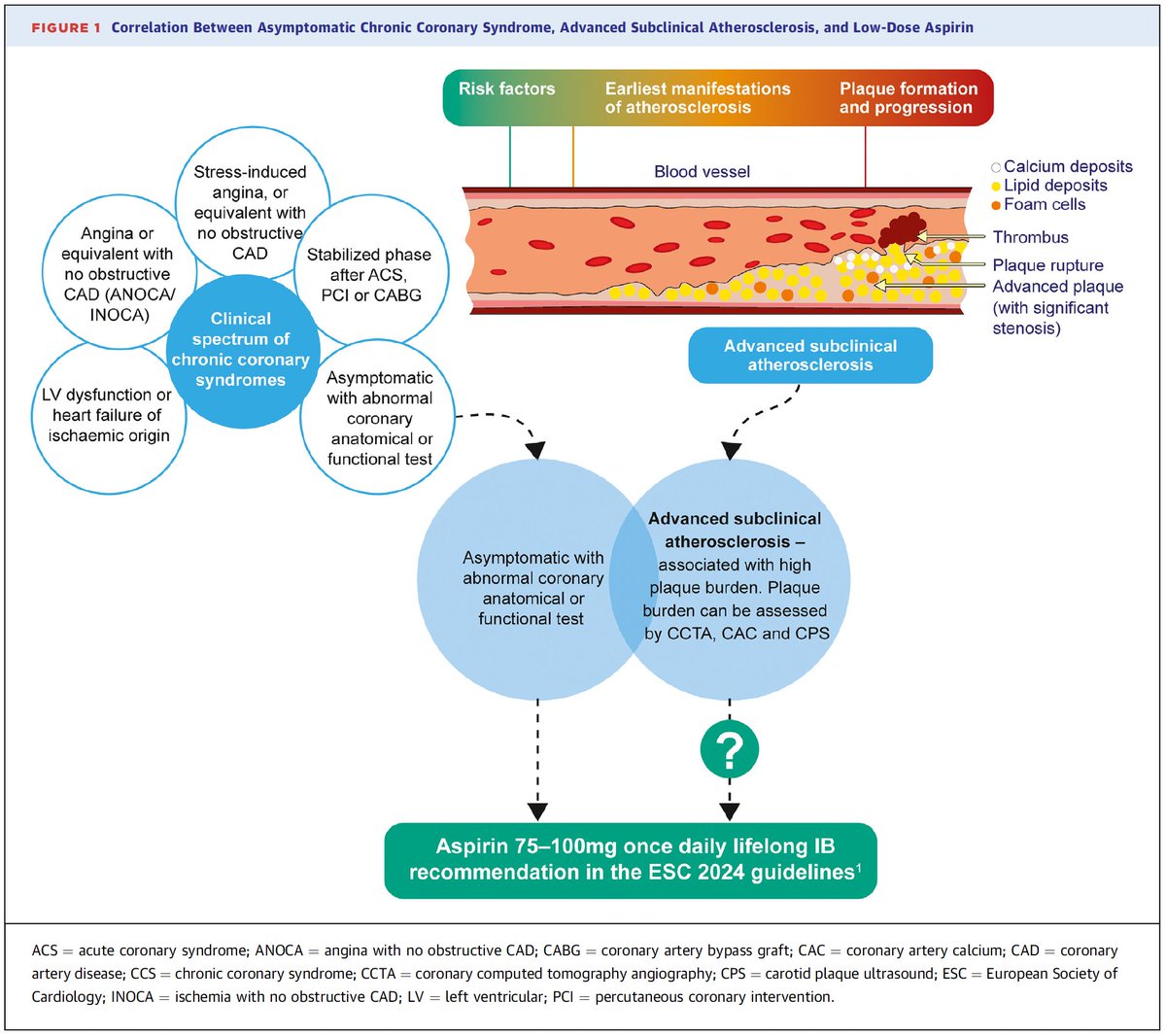Gonzalo Perez (@gonzaeperez) on Twitter photo ATEROMATOSIS SUBCLÍNICA AVANZADA Y #ASPIRINA
🔴Aspirina en prevención primaria? NO
🔴Aspirina en ateromatosis subclínica avanzada? SI
🔘Evaluar riesgo/beneficio (pac > 70 años o con antecendente de sangrado)
Buena perspectiva <a href="/JACCJournals/">JACC Journals</a> <a href="/alavallecobo/">Augusto LC</a>
¿Qué opinan? ATEROMATOSIS SUBCLÍNICA AVANZADA Y #ASPIRINA
🔴Aspirina en prevención primaria? NO
🔴Aspirina en ateromatosis subclínica avanzada? SI
🔘Evaluar riesgo/beneficio (pac > 70 años o con antecendente de sangrado)
Buena perspectiva <a href="/JACCJournals/">JACC Journals</a> <a href="/alavallecobo/">Augusto LC</a>
¿Qué opinan?