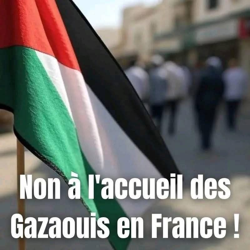 Entièrement contre, il y en a déjà assez 😡
Ni eux ni aucuns autres, fin des portes ouvertes, et des aides.

Stop à l'accueil vaudrait déjà s'occuper des français 🇫🇷 et françaises 🇫🇷 avant tout.