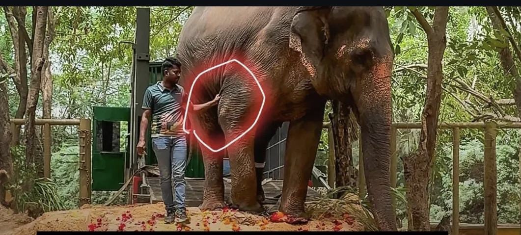 Rohan Magdum 🇮🇳 tweet media