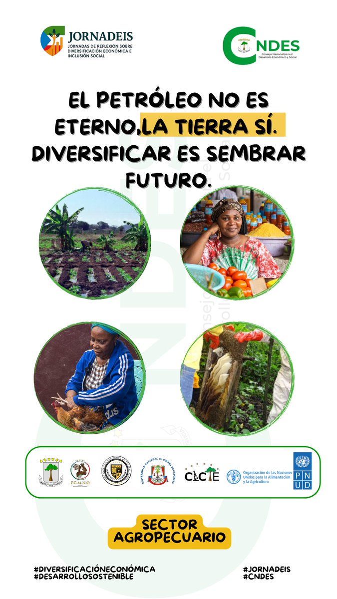 “El petróleo no es eterno. La tierra sí. Diversificar es sembrar futuro. 

#JORNADEIS
#CNDES
#DiversificaciónEconómica
#DesarrolloSostenible.