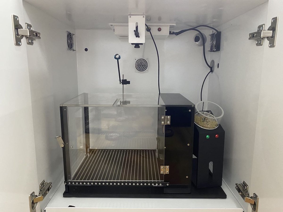 If anybody wondered what a #skinner #box looks #IRL. It took me some how by surprise to see thisle theoretical concept translated to product. They are not cheap! #skinnersbest