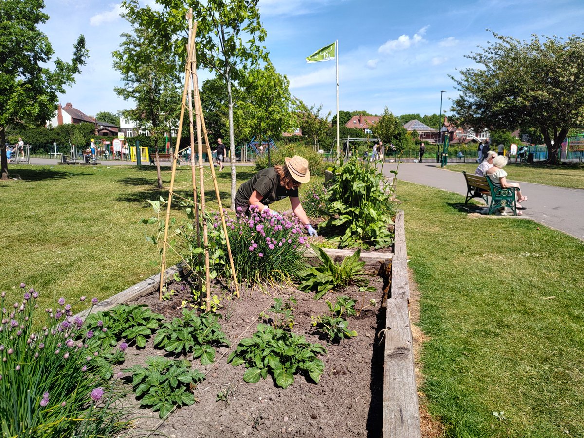 St Mary's Park group are meeting at 11am this Sunday for an hour.  Please come and join us to help out. 

iepad.co.uk/events/event/s…

#volunteering #volunteers  #Prestwich #PrestwichVillage